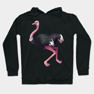 Cozy Ostrich Hoodie